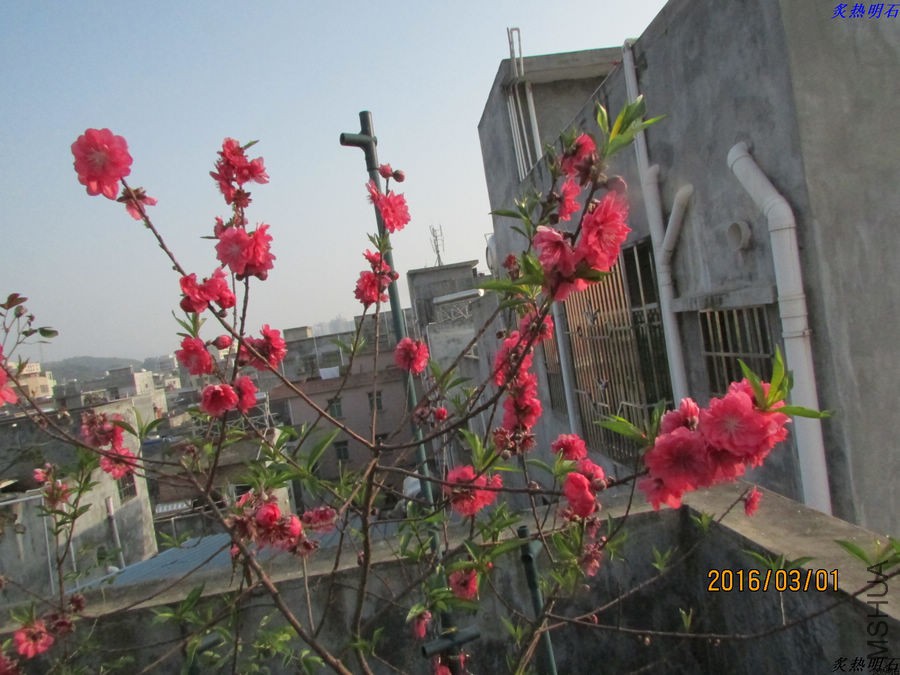 IMG_3128_nEO_IMG.jpg