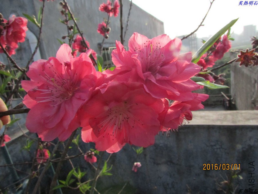 IMG_3130_nEO_IMG.jpg
