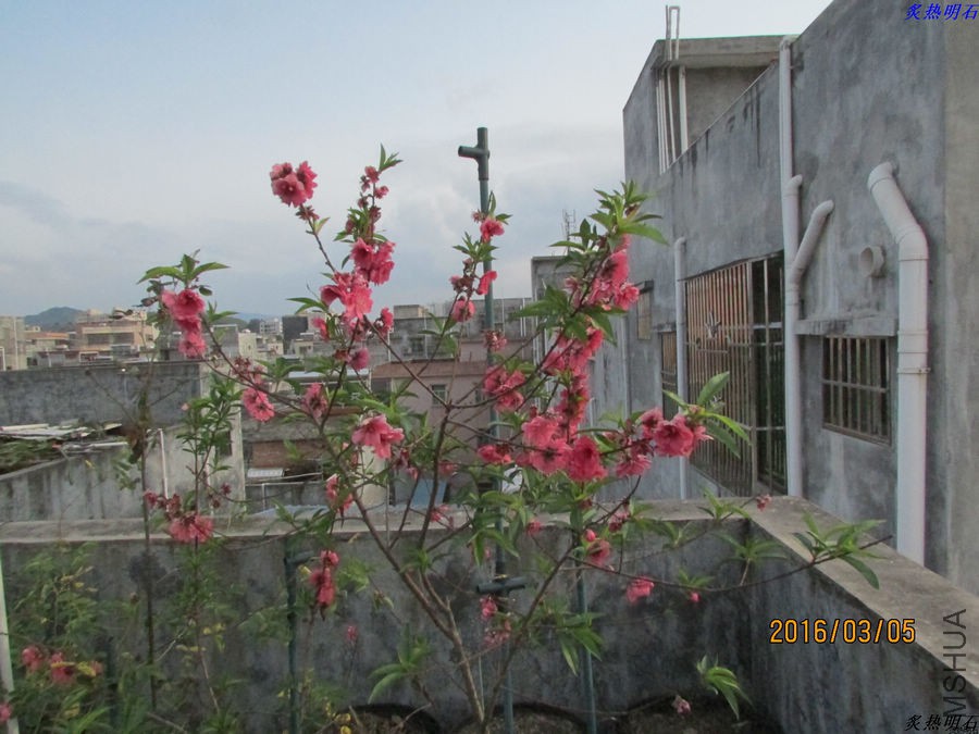 IMG_3309_nEO_IMG.jpg