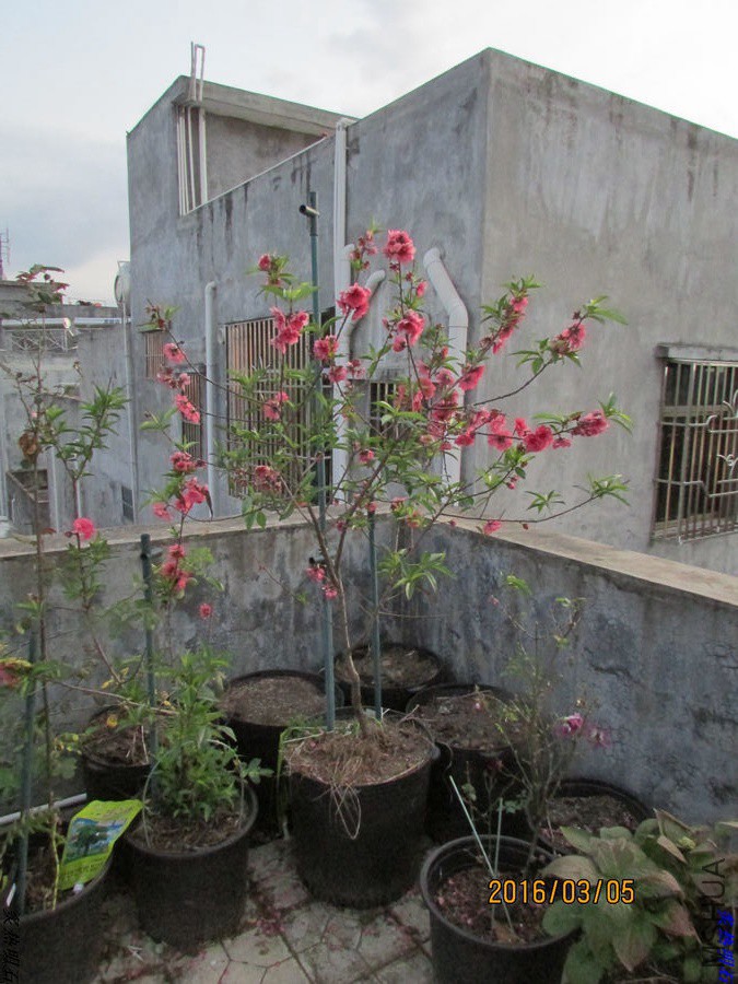 IMG_3310_nEO_IMG.jpg