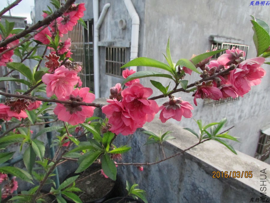 IMG_3313_nEO_IMG.jpg