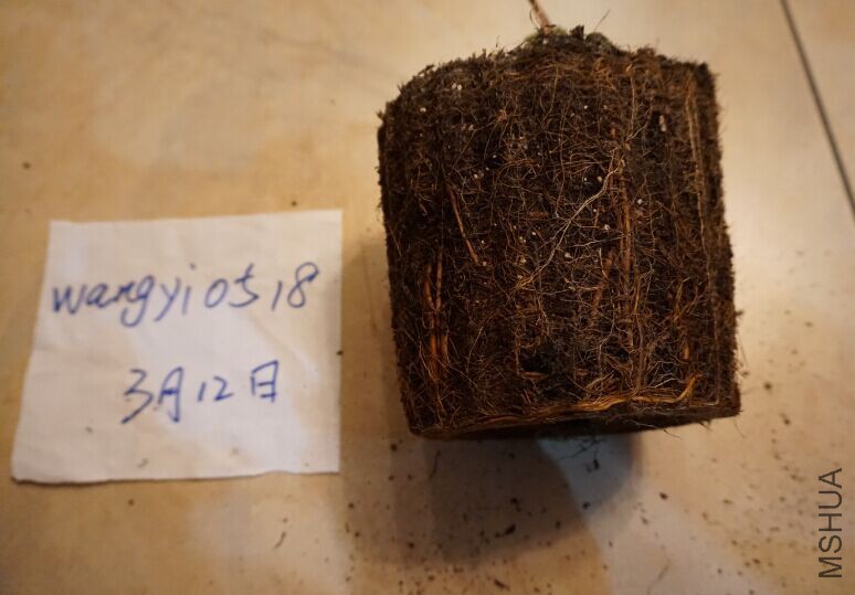 QQͼƬ20160312190806.jpg
