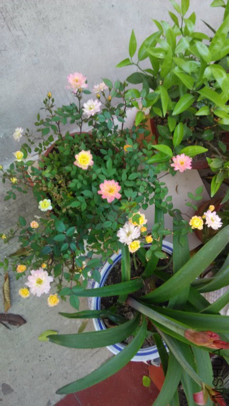 IMG_20140430_055925.jpg