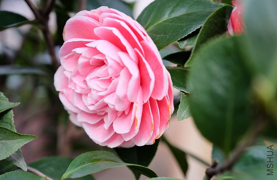 DSCF5823.JPG