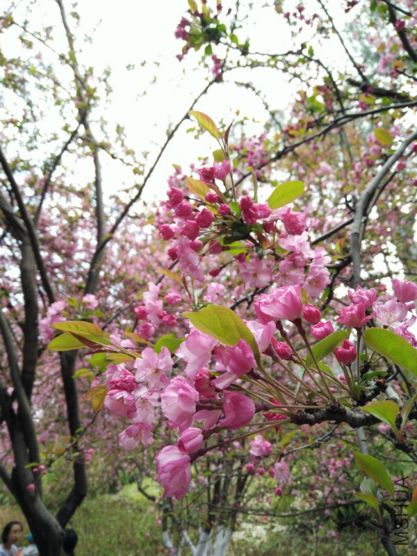IMG20160312131641.jpg