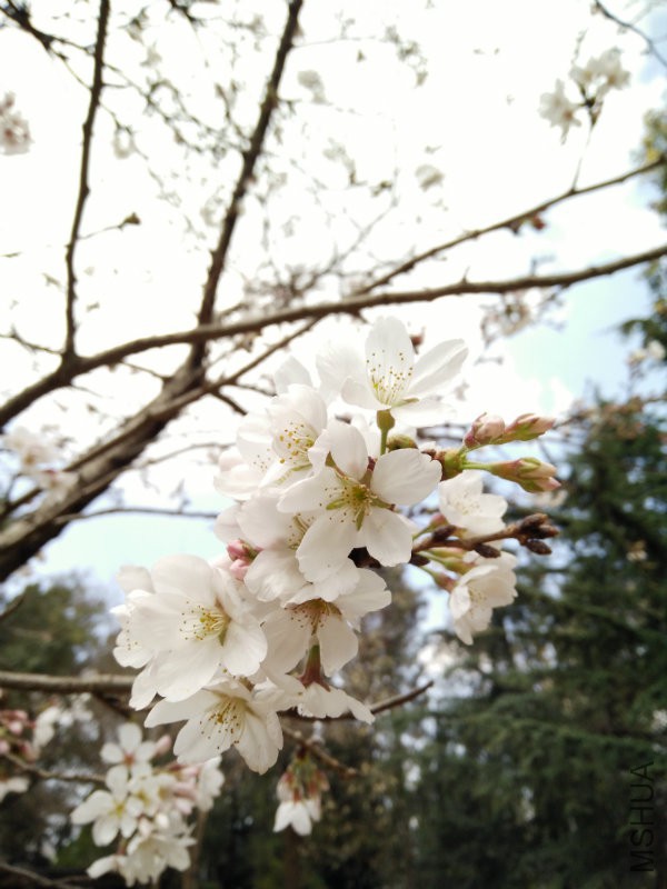 IMG20160312132057.jpg