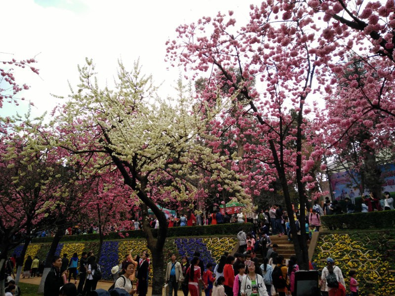 IMG20160312133230.jpg