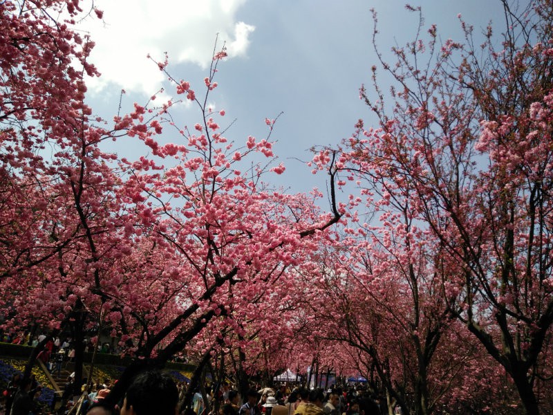 IMG20160312133605.jpg