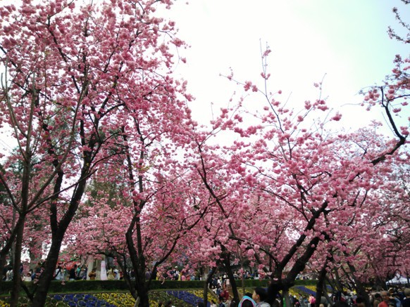 IMG20160312133743.jpg