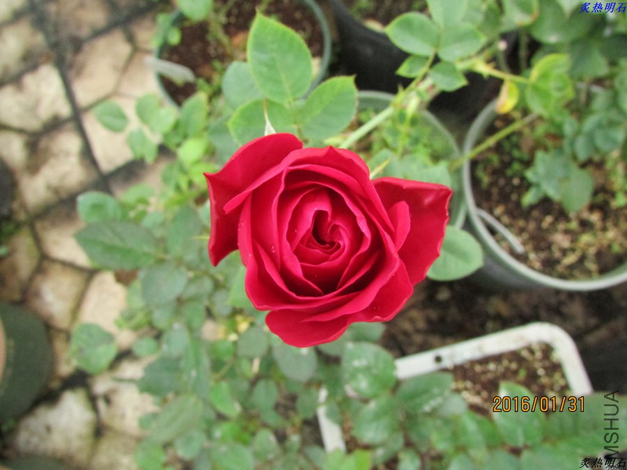 IMG_2830_nEO_IMG.jpg