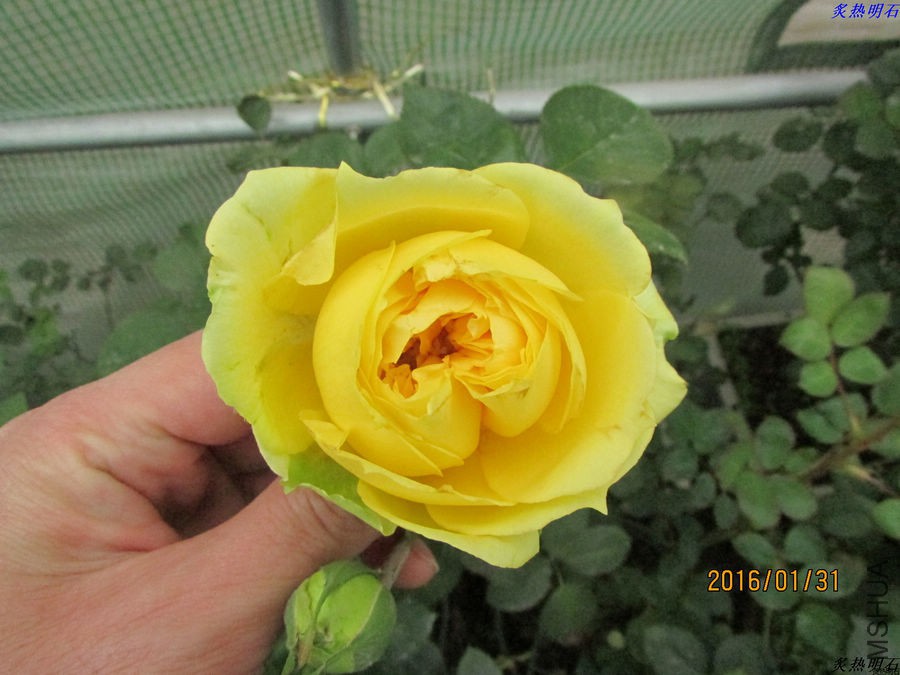 IMG_2821_nEO_IMG.jpg