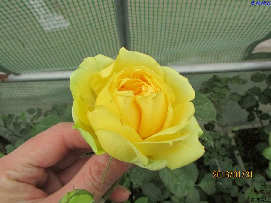 IMG_2822_nEO_IMG.jpg