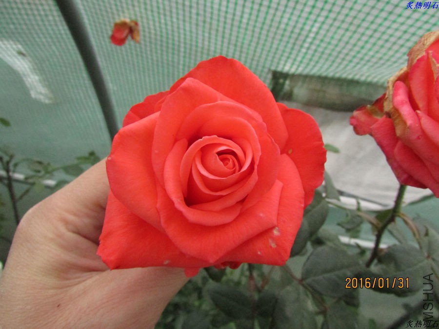 IMG_2824_nEO_IMG.jpg