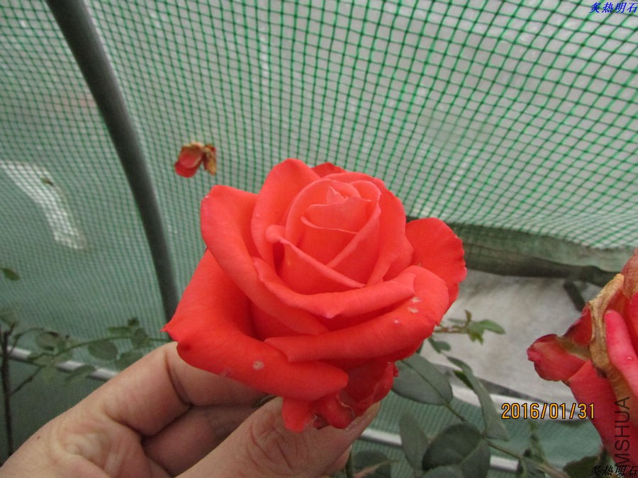 IMG_2825_nEO_IMG.jpg