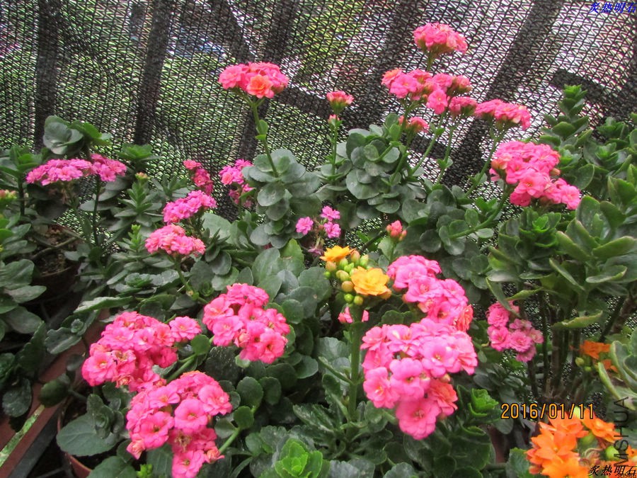 IMG_2631_nEO_IMG.jpg