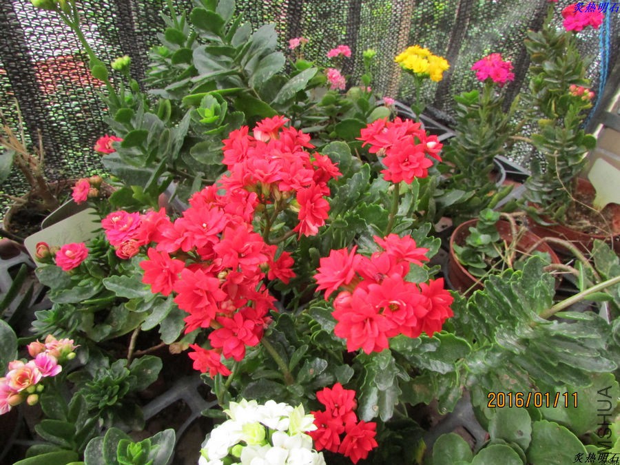 IMG_2626_nEO_IMG.jpg