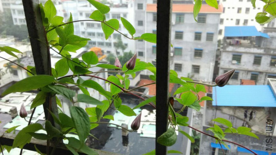 QQͼƬ20160313122559.jpg