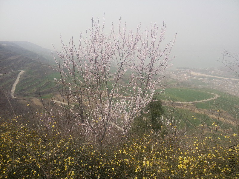 IMG20160307160014.jpg