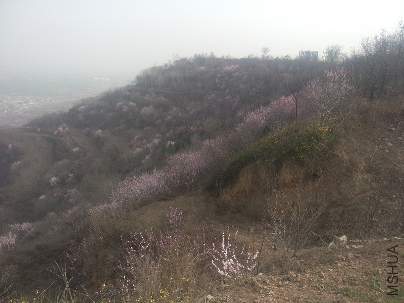 IMG20160307161114.jpg