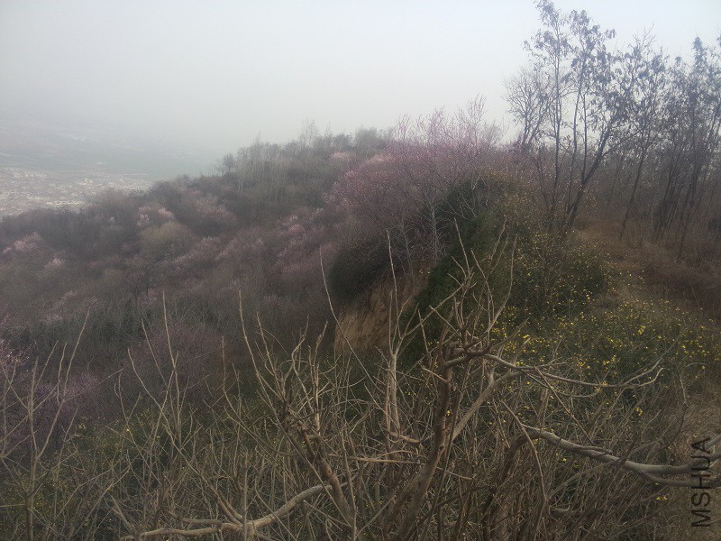 IMG20160307161324.jpg