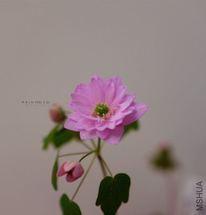 DSCF0778.JPG