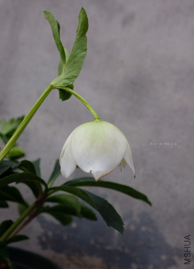 DSCF0791.JPG