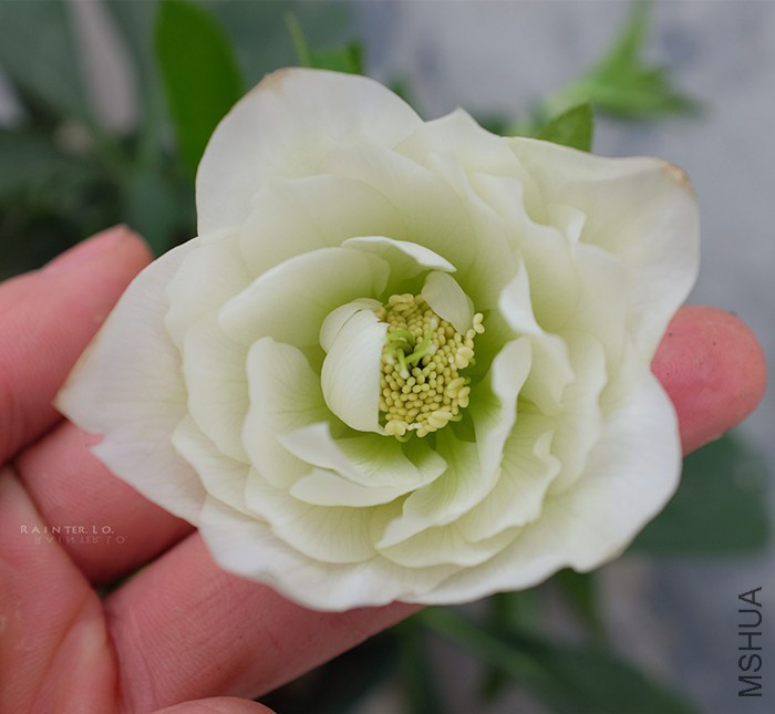 DSCF0793.JPG