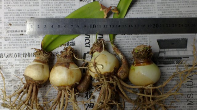 16030103_640x360.jpg