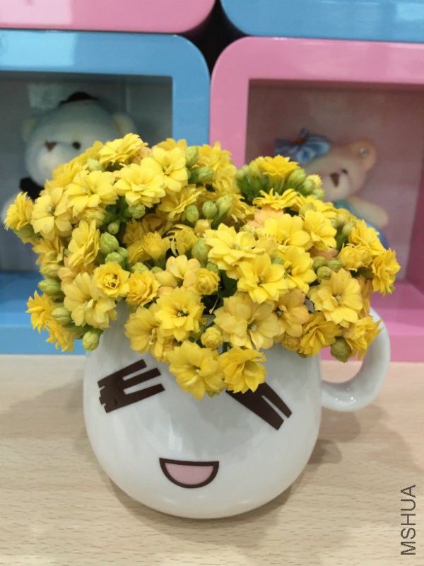 2016.03 076.jpg