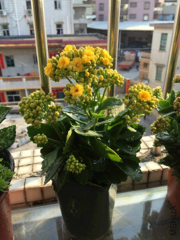 2016.02 021.jpg