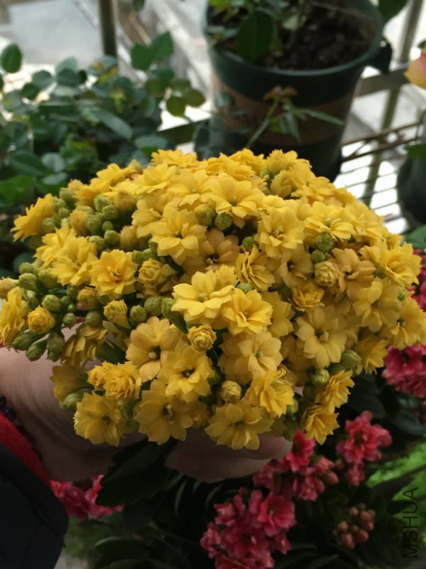 2016.03 079.jpg