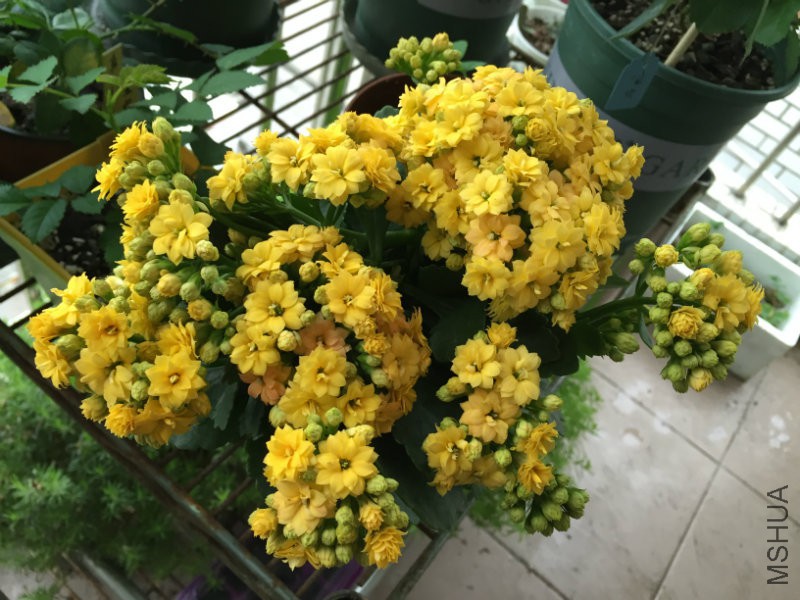 2016.03 077.jpg