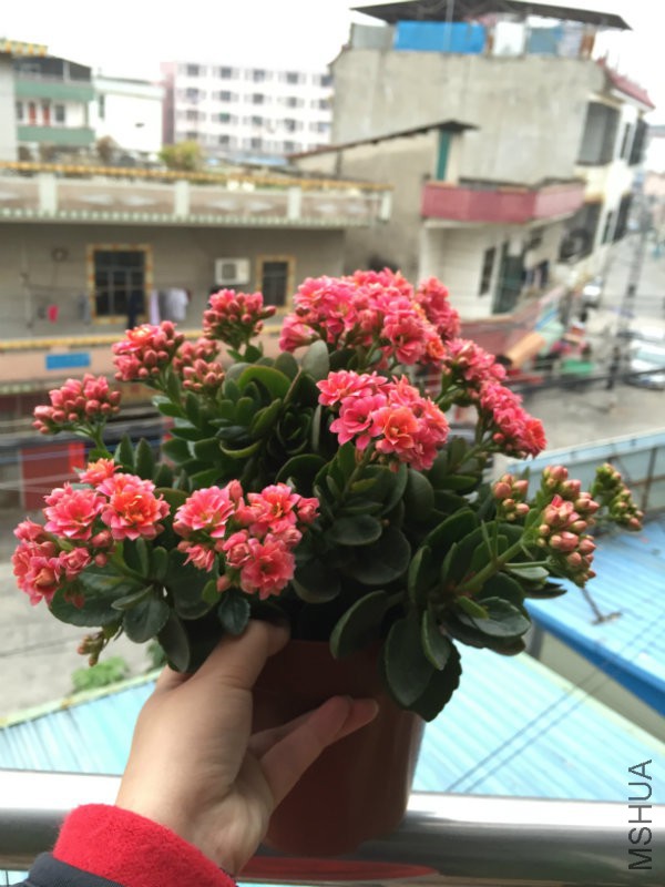 2016.03 072.jpg