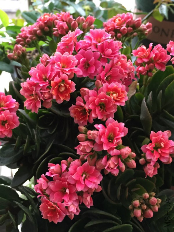 2016.03 081.jpg