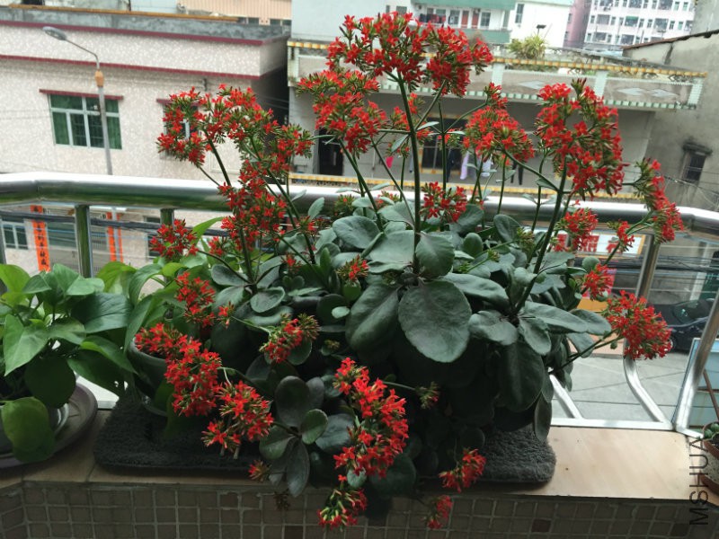 2016.03 067.jpg