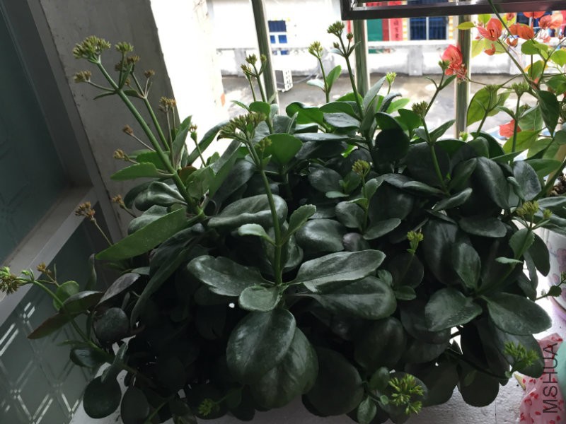 2016.01 023.jpg