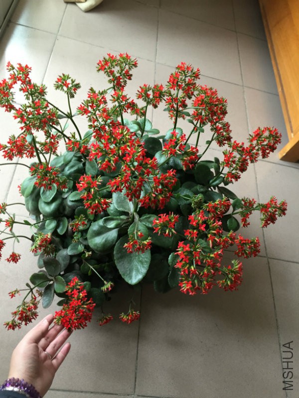 2016.03 090.jpg