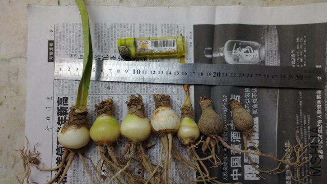 ����_640x360.jpg