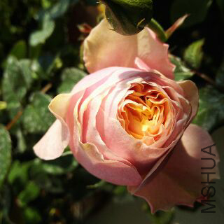 UC_Photo_095.jpg