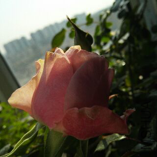 UC_Photo_097.jpg