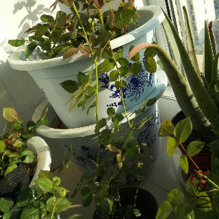 UC_Photo_099.jpg