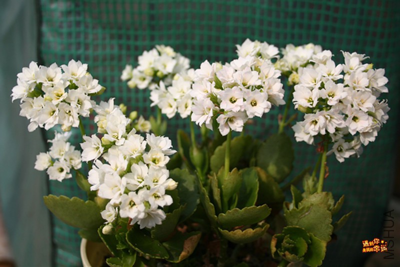 ��Ƭ 033_����.jpg