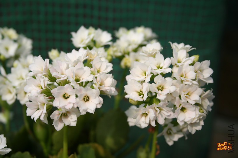 ��Ƭ 034_����.jpg