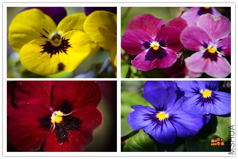 ��Ƭ 008_����.jpg