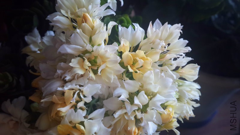 20160309_075631.jpg