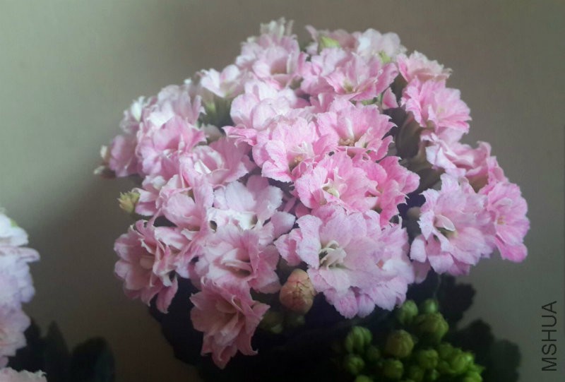 QQ图片20160314162352.jpg