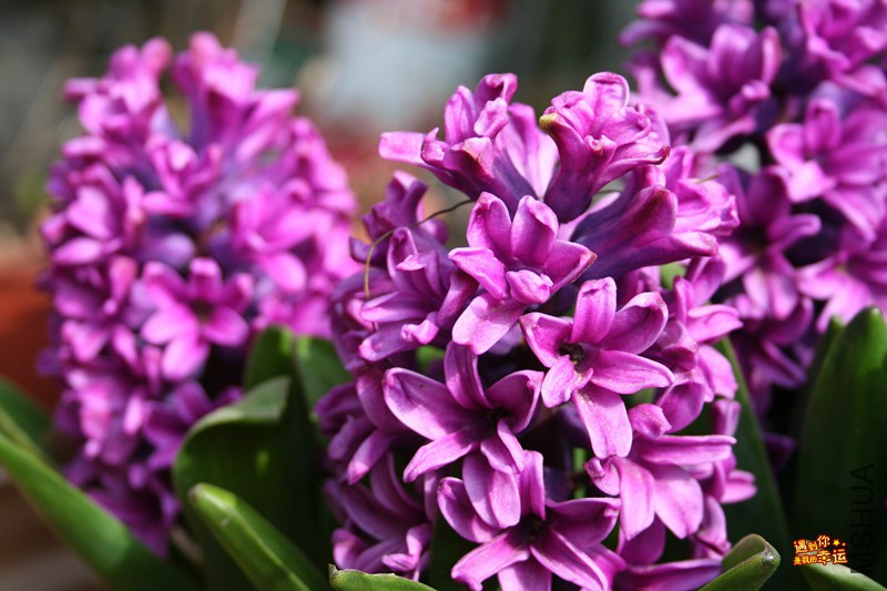 ��Ƭ 043_����.jpg