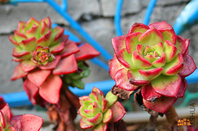 ��Ƭ 058_����.jpg