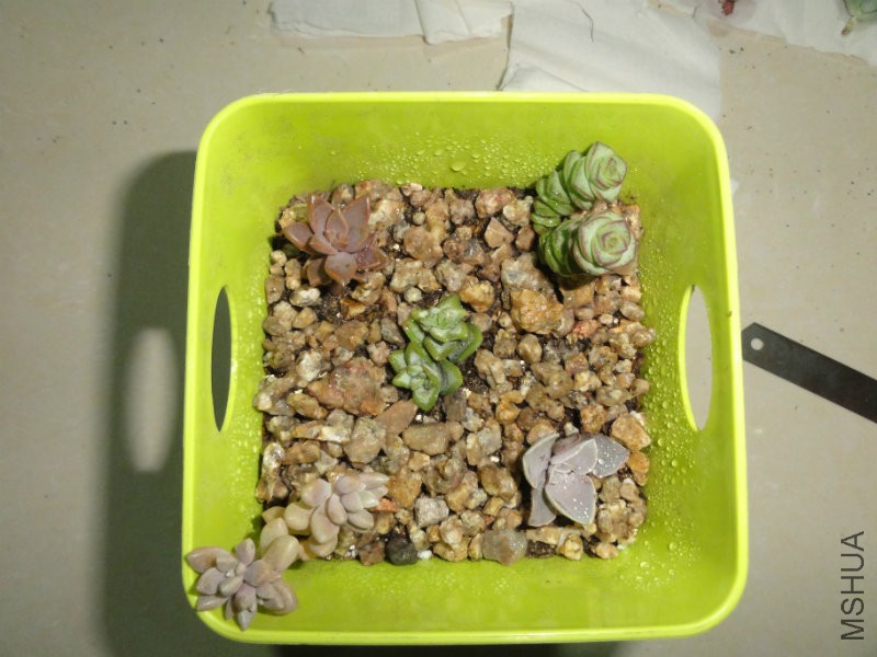 DSC01755.JPG
