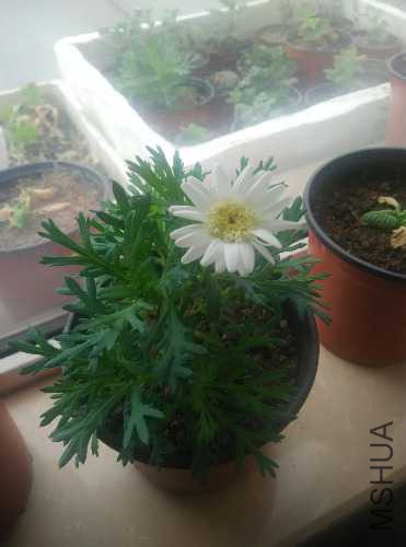 IMG20160221095758.jpg